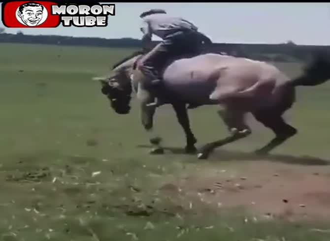 Video :On a horse's neck, a tamer performs a 360-degree ride